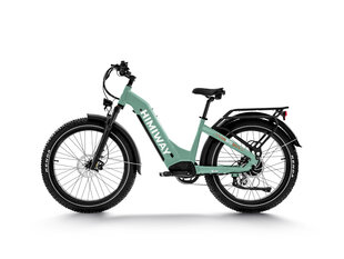 Электровелосипед Himiway Zebra Step-Thru, 26", зеленый, 250Вт, 20Ач LG цена и информация | Электровелосипеды | kaup24.ee