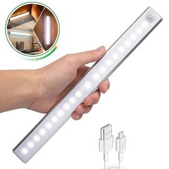 liimitud LED lamp 30cm цена и информация | Монтируемые светильники, светодиодные панели | kaup24.ee