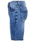 Lühikesed püksid meestele 15986-63, sinine hind ja info | Meeste lühikesed püksid | kaup24.ee