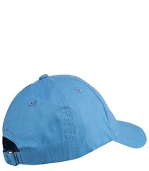 Müts 16628 hind ja info | Naiste mütsid ja peapaelad | kaup24.ee