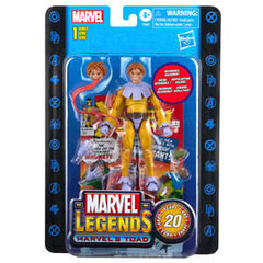 Marvel Legends Marvel Toad hind ja info | Fännitooted mänguritele | kaup24.ee