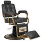 Professionaalne juuksuritool Boss HD Old Leather , must hind ja info | Ilusalongi mööbel | kaup24.ee