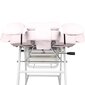 Professionaalne kosmeetika tool/voodi, roosa цена и информация | Ilusalongi mööbel | kaup24.ee