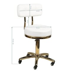 Профессиональное кресло-табурет для мастера красоты GOLD AM-961, черного цвета цена и информация | Мебель для салонов красоты | kaup24.ee