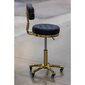 Professionaalne kosmeetiku tool Gold AM-961, must hind ja info | Ilusalongi mööbel | kaup24.ee