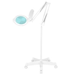 Профессиональная косметологическая LED лампа-лупа MOONLIGHT 8013/6, белого цвета (с подставкой) цена и информация | Мебель для салонов красоты | kaup24.ee
