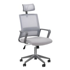 Офисный стул QS-05, серого цвета цена и информация | Мебель для салонов красоты | kaup24.ee