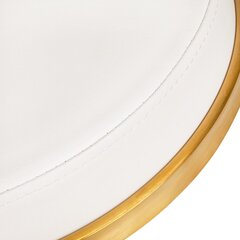 Master tool kosmeetikutele ja ilusalongidele H4, valge hind ja info | Ilusalongi mööbel | kaup24.ee
