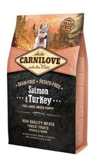 Carnilove Salmon&Turkey для собак крупных пород с лососем и индейкой, 4 кг цена и информация |  Сухой корм для собак | kaup24.ee
