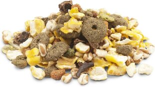 Лакомство для кроликов и грызунов Versele-Laga Crispy Snack Popcorn, 1,75 кг цена и информация | Корм для грызунов | kaup24.ee