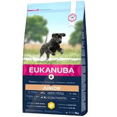 Eukanuba Developing Junior Large Breed kanaga koertele, 3 kg hind ja info | Kuivtoit koertele | kaup24.ee