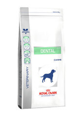 Royal Canin Dog Dental для взрослых собак, 13 кг цена и информация | Сухой корм для собак | kaup24.ee