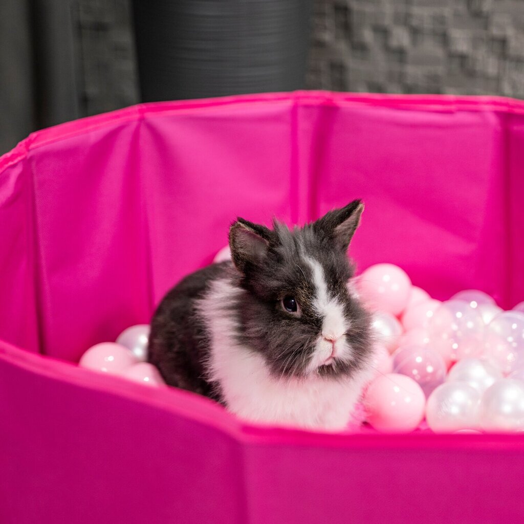 Petsona kokkupandav pallibassein koertele kassidele 100 palli ümmargune kass jänes mänguasi lemmikloomadele koertele bassein loomadele bassein kaasaskantav, roosa hind ja info | Mänguasjad koertele | kaup24.ee