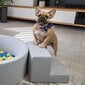 Petsona vahtplastist mänguväljaku takistusrajad kassidele, küülikutele, lemmikloomade mänguasjad, valmistatud ELis, helehall цена и информация | Mänguasjad koertele | kaup24.ee
