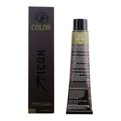 Püsivärv ICON Ecotech Color, 60 ml hind ja info | Juuksevärvid | kaup24.ee