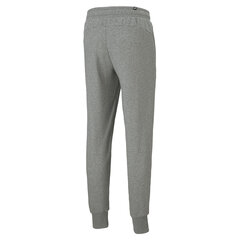 Spordipüksid Puma Ess+ 2 Col Logo Pants Grey 586768 03 цена и информация | Мужская спортивная одежда | kaup24.ee