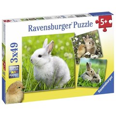 Ravensburger pusle, 3x49 tk hind ja info | Pusled | kaup24.ee