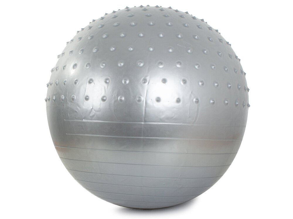 Võimlemispall pumbaga 70cm, hõbedane hind ja info | Võimlemispallid | kaup24.ee