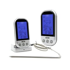 Digitaalne termomeeter koos sondiga hind ja info | Ilmajaamad, termomeetrid | kaup24.ee