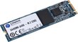 SSD M.2 120GB Kingston 2280 A400 hind ja info | Sisemised kõvakettad (HDD, SSD, Hybrid) | kaup24.ee