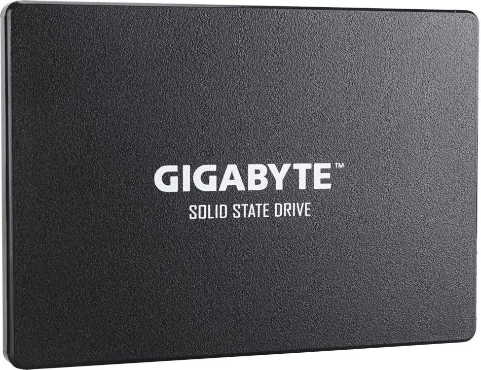 Gigabyte GP-GSTFS31256GTND hind ja info | Sisemised kõvakettad (HDD, SSD, Hybrid) | kaup24.ee