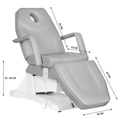 Электрическое косметическое кресло Soft 1 светло-серого цвета цена и информация | Мебель для салонов красоты | kaup24.ee