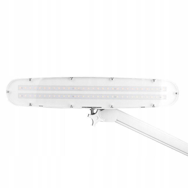 Elegantne 801-l LED-lamp klambri, reguleeritava valgustugevusega, valge цена и информация | Laualambid | kaup24.ee