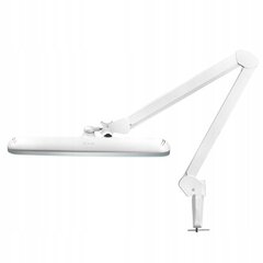 Elegantne 801-l LED-lamp klambri, reguleeritava valgustugevusega, valge цена и информация | Настольная лампа | kaup24.ee