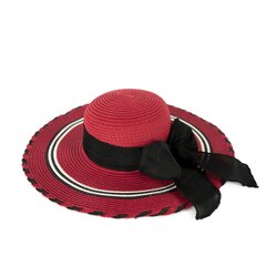 Müts Art of Polo cz23150-5 hind ja info | Naiste mütsid ja peapaelad | kaup24.ee