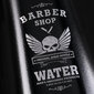 Barber Sprayer Pro valge hind ja info | Vannitoa sisustuselemendid ja aksessuaarid | kaup24.ee