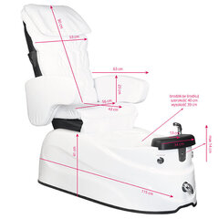 Педикюрное SPA-кресло AS-122 белого цвета с функцией массажа и насосом цена и информация | Мебель для салонов красоты | kaup24.ee