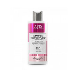 Apis amaranth care, amaranth repair shampoo, 300 ml hind ja info | Šampoonid | kaup24.ee