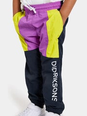 Детские брюки Didriksons Hjortron, темно-сине-желтый цвет цена и информация | Штаны для мальчика Nini | kaup24.ee