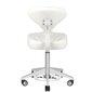 Azzurro 156-F kosmeetiku tool, valge цена и информация | Ilusalongi mööbel | kaup24.ee