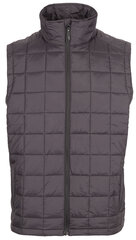 Vest meestele Trespass MAJKGITR0007-BLK, must hind ja info | Meeste vestid | kaup24.ee