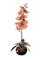 Kunstlill orhidee Mercedes, 55 cm hind ja info | Kunstlilled | kaup24.ee