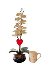 Искусственная орхидея  Melanija, 55см + чашка цена и информация | Искусственные цветы | kaup24.ee