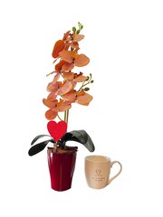Kunstlill orhidee Valentina, 55cm + tass hind ja info | Kunstlilled | kaup24.ee