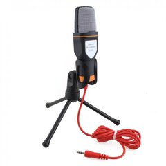 Professionaalne mikrofon statiiviga hind ja info | Mikrofonid | kaup24.ee