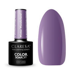 Лак гибридный Claresa Soak Off UV/LED Winter Wonderland 6 5г цена и информация | Лаки для ногтей, укрепители для ногтей | kaup24.ee