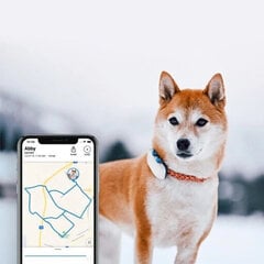 GPS-jälgija Tractive, must цена и информация | Ошейники, подтяжки для собак | kaup24.ee