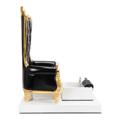 педикюрное кресло tron, черное цена и информация | Мебель для салонов красоты | kaup24.ee