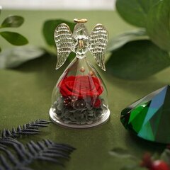 Вечная роза в куполе в форме ангела. цена и информация | Другие подарки | kaup24.ee
