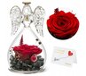 Inglikujulises kuplis igavene roos hind ja info | Muud kingitused | kaup24.ee