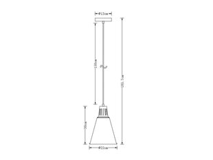 Подвесной светильник Gianni 9974 цена и информация | Потолочный светильник, 38 x 38 x 24 см | kaup24.ee