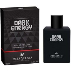 Tualettvesi Dales&Dunes Dark Energy, 100 ml цена и информация | Мужские духи | kaup24.ee