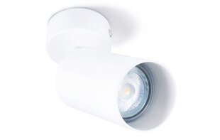 Светодиодный накладной галогенный настенно-потолочный светильник Viki L x1 - Белый цена и информация | Потолочные светильники | kaup24.ee