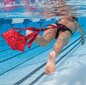 Langevari ujumiseks koos vööga Finis, 20cm hind ja info | Muu ujumisvarustus | kaup24.ee
