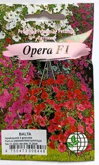 Petuunia Opera F1, valge hind ja info | Lilleseemned | kaup24.ee