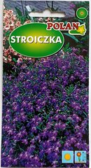 Lobeelia Mitternachtblau, sinine цена и информация | Семена цветов | kaup24.ee